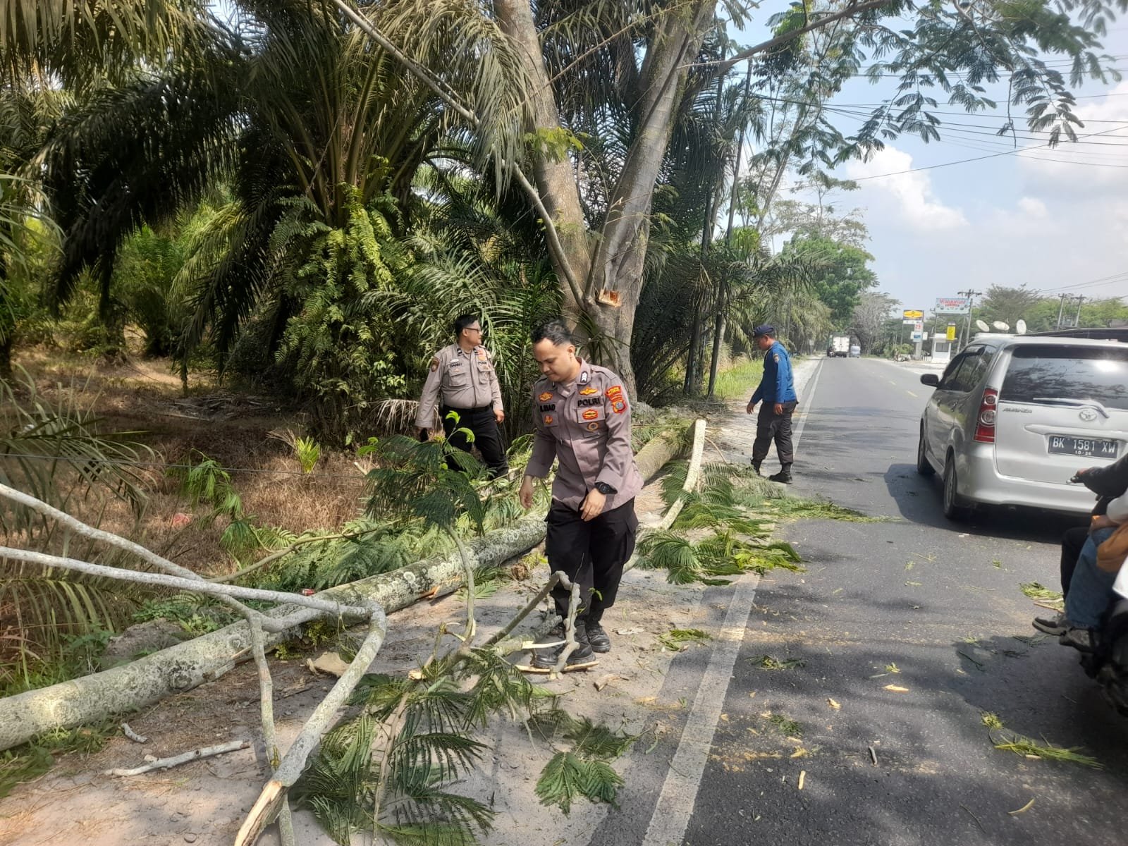 Personel Pos Pam 2 Sei Bejangkar Evakuasi Pohon Tumbang di Desa Benteng Jaya, Arus Lalu Lintas Kembali Lancar